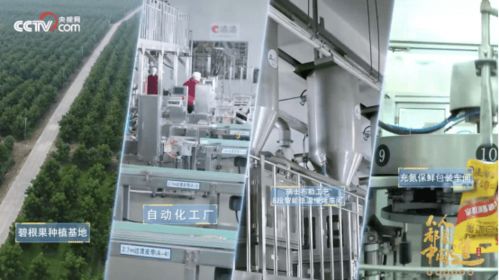 央视直播探秘洽洽 透明工厂 ,看中国质造如何圈粉年轻人