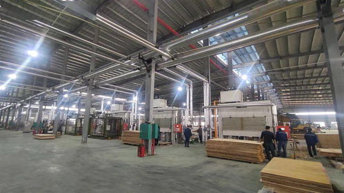 签约合作 开年开好局,大王椰家具板渠道发力气势如虹