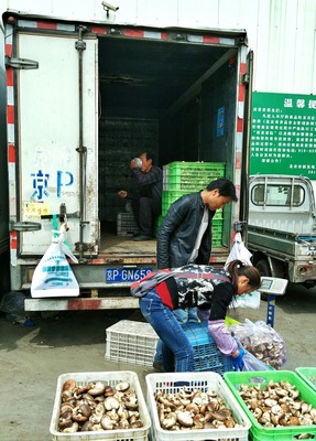 货箱生活-北京新发地农副产品批发市场 - 纪实, 北京, 手机, “街拍中国”四月赛 - 张开宇 - 图虫摄影网