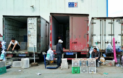 货箱生活——北京新发地农副产品批发市场的纪实